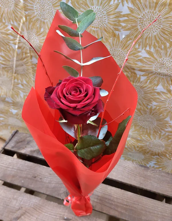 Beautiful flowers for Valentines Day